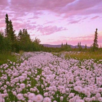 乐天堂点评指导